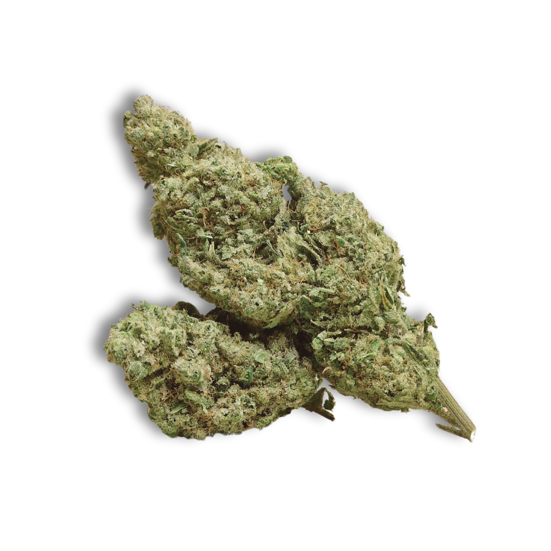 Northern Lights — cànem CBD