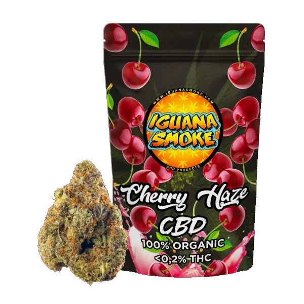 Flor CBD Iguana Smoke Cherry Haze — 3 gr CBD Outdoor — cogollo en envase individual termosellado