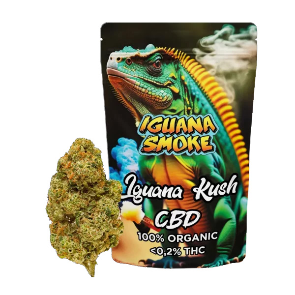 Flor CBD Iguana Smoke Iguana Kush — 3 gr CBD Outdoor — cogollo en envase individual termosellado