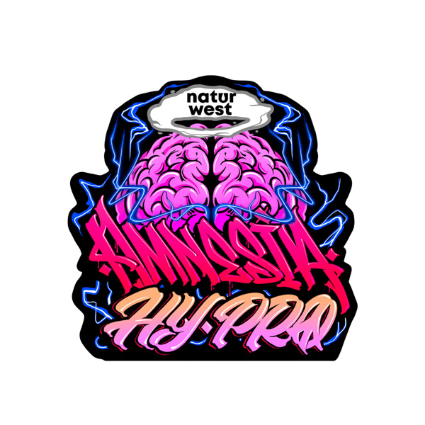 Flor CBD Naturwest Indoor Amnesia Hy Pro — 2 gr — cànem CBD