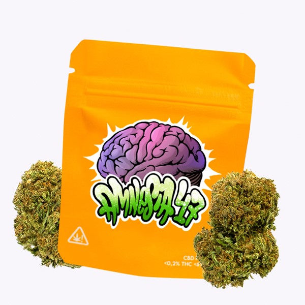 Gorilla Grillz Outdoor Amnesia 47 -