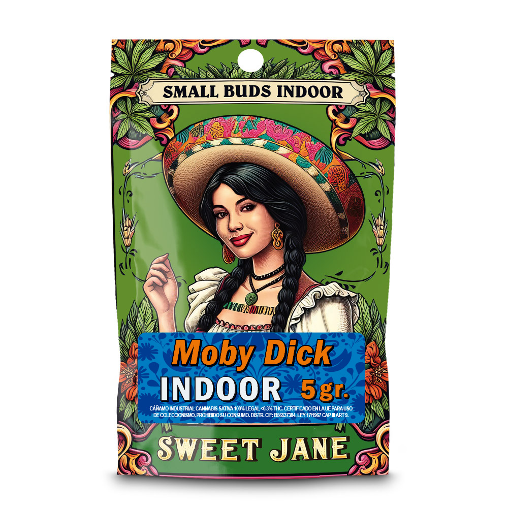 Sweet Jane Indoor Small Buds Moby Dick
