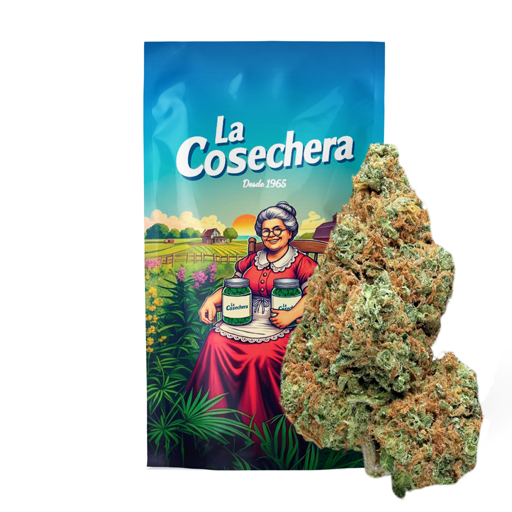 La Cosechera White Widow