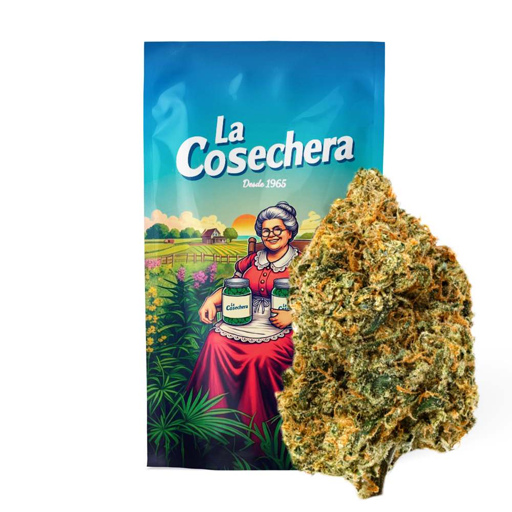 La Cosechera Girl Scout Cookies