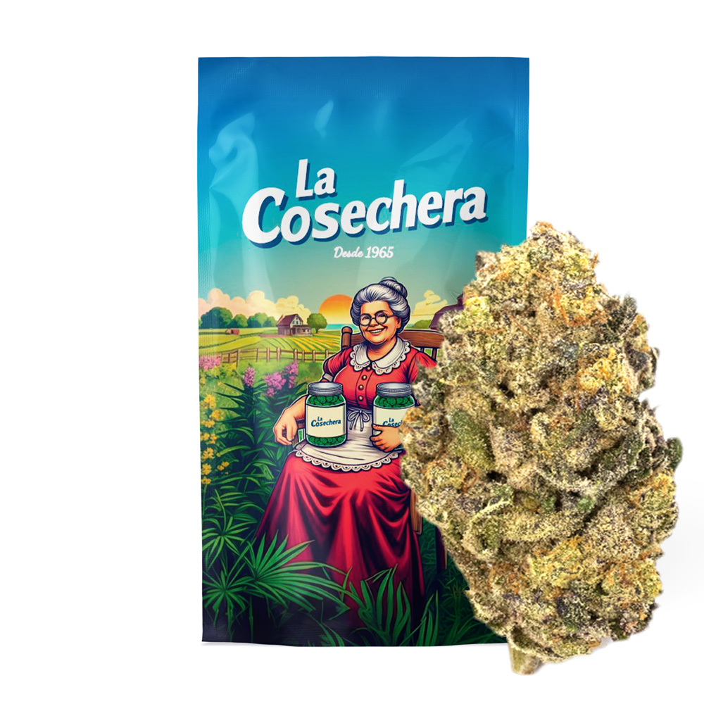 La Cosechera Cheesecake